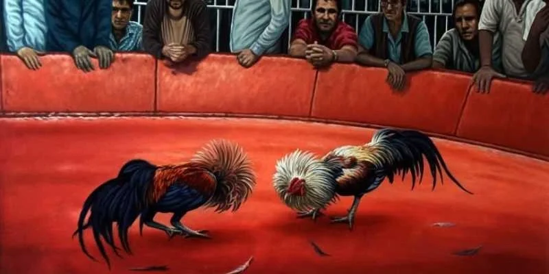 Cách tham gia đá gà tại SV 388